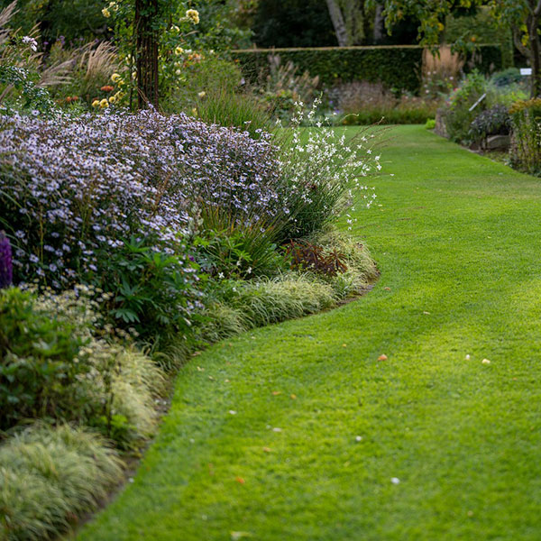 Gartenumgestaltung Impressionen